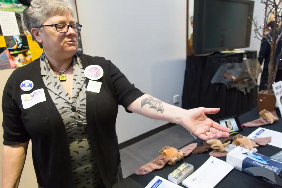 Tatuaje de un murciélago en el antebrazo, mostrado en un evento de divulgación sobre murciélagos