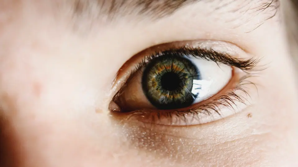 Primer plano de un ojo y el párpado