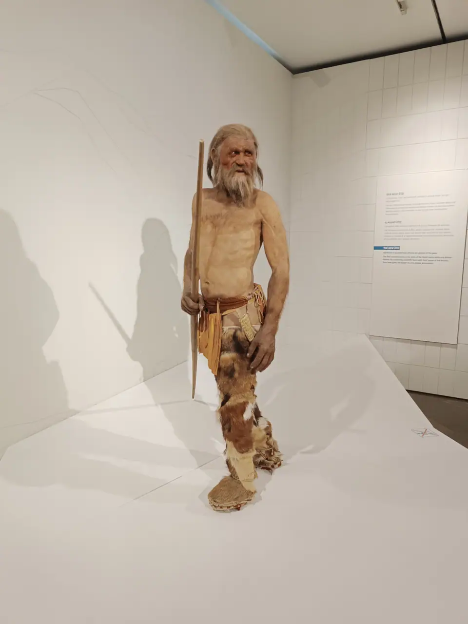 Reconstrucción corporal de Ötzi, el hombre de hielo, expuesta en un museo