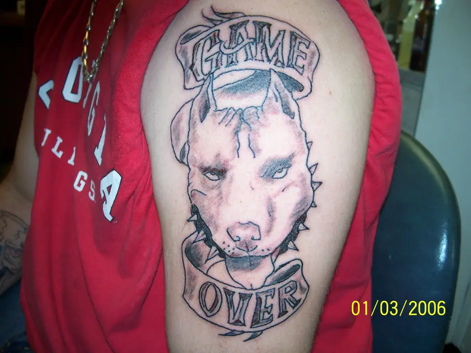 Tatuaje de la cabeza de un perro pit bull en el brazo