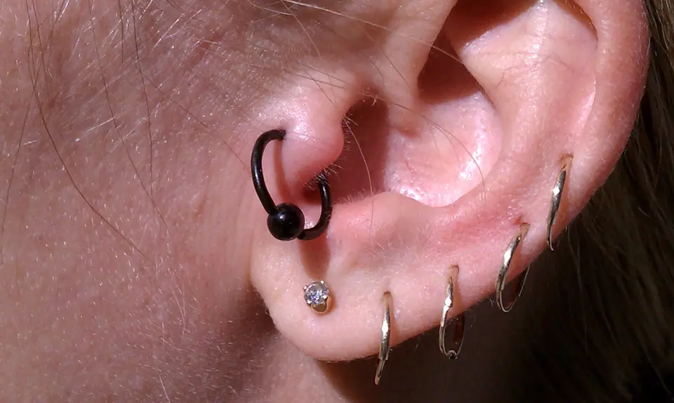 Piercing de tragus con argolla, junto a otros piercings en el lóbulo y hélix